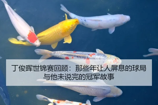丁俊晖世锦赛回顾：那些年让人屏息的球局与他未说完的冠军故事